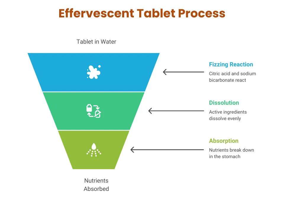 Infographic illustrating the effervescent tablet process—starting with a fizzing reaction between citric acid and sodium bicarbonate, followed by dissolution of active ingredients, and ending with nutrient absorption in the stomach.